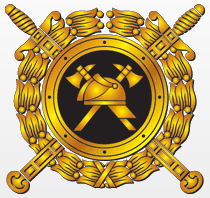 Государственная противопожарная служба